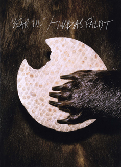 Thobias Fäldt - Steidl Verlag